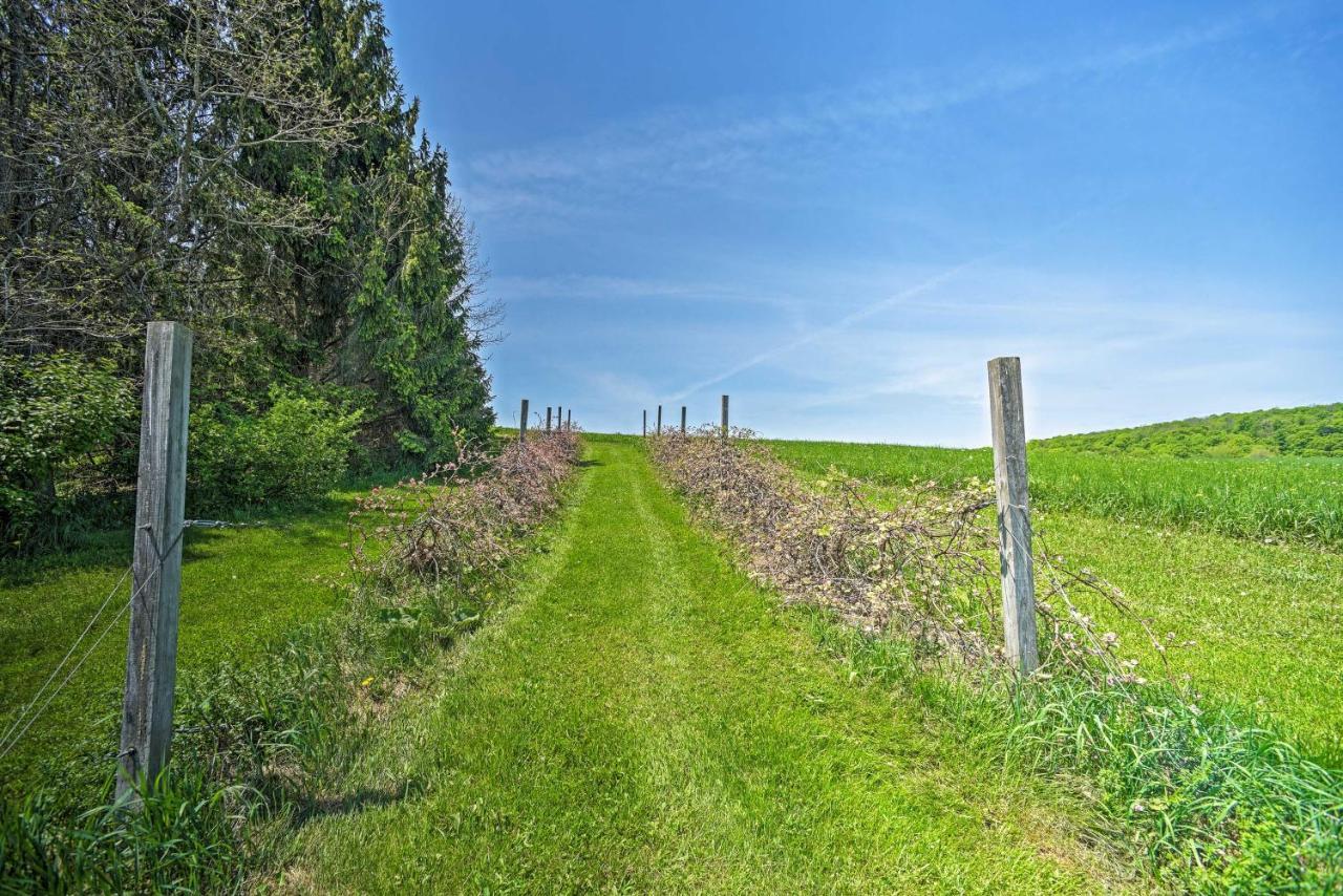 Country Escape With Sauna, 10 Mi To Cooperstown Richfield Springs Buitenkant foto