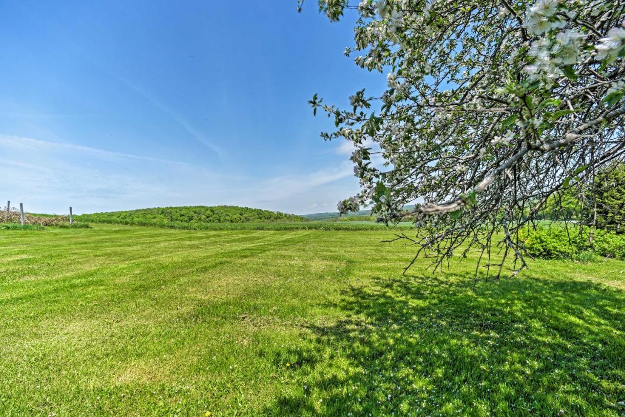 Country Escape With Sauna, 10 Mi To Cooperstown Richfield Springs Buitenkant foto